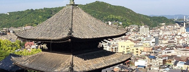 天寧寺 is one of 三重塔 / Three-storied Pagoda in Japan.