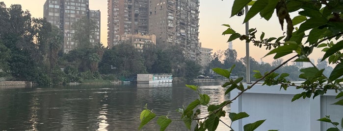 White Roof is one of Cairo🇪🇬.