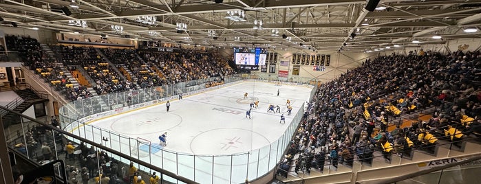 MacInnes Ice Arena is one of College Hockey.