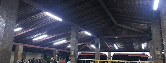 El Gran Rodeo is one of Jalisco.