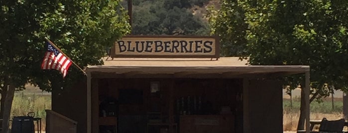 Santa Barbara Blueberries is one of Lompoc and Cambria 2022.