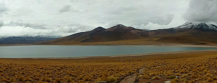 Laguna Miscanti is one of สถานที่ที่ Damon ถูกใจ.