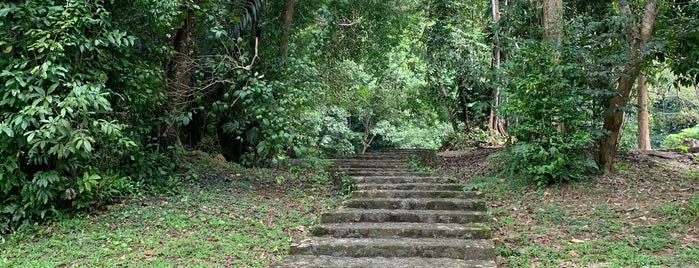 Khao Phra National Park is one of Phuket.