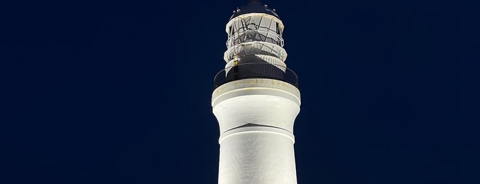 Omaezaki Lighthouse is one of 参観灯台.