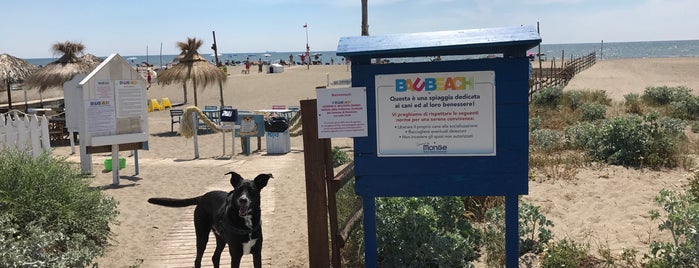 Baubeach is one of Dog friendly places.