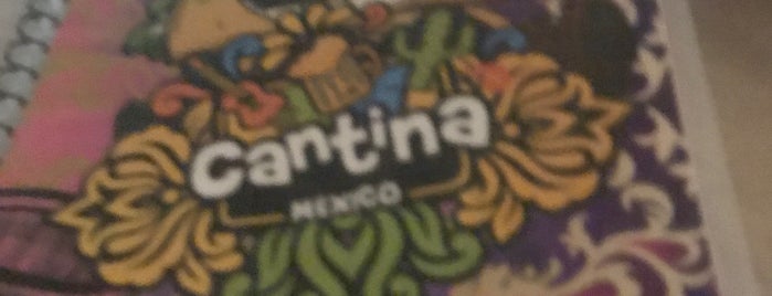 Cantina México is one of comida bar.
