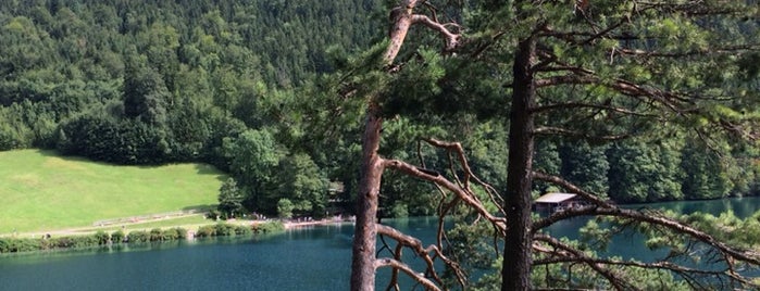 Alpsee is one of Katyaさんのお気に入りスポット.