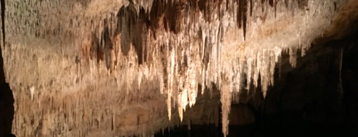 Cuevas del Drach is one of Lieux qui ont plu à Katya.