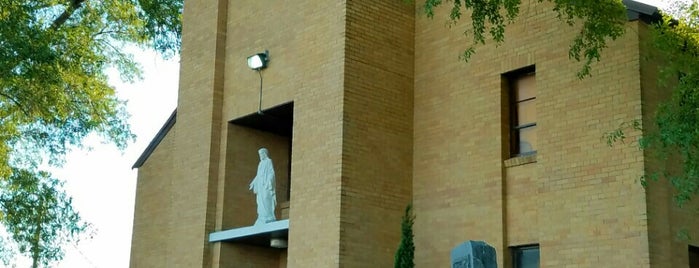 Sacred Heart Catholic Church is one of Parishes in the Austin Metro Area.