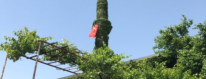 Yeşil Camii is one of Adana.