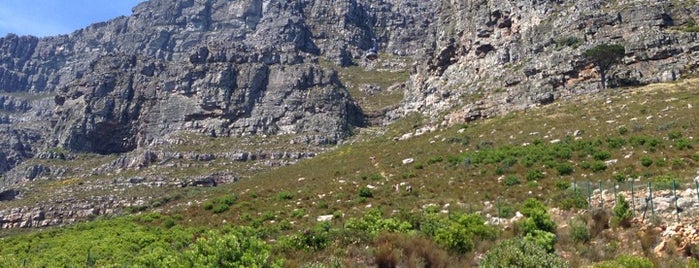 Table Mountain National Park is one of Kapstadt.