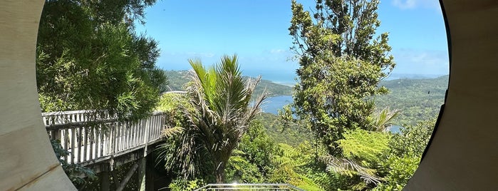 Arataki Visitors Centre is one of NZ s Izy.