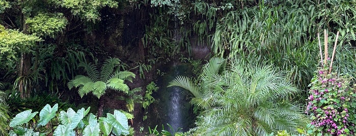 Eden Gardens is one of New Zealand N Trip.