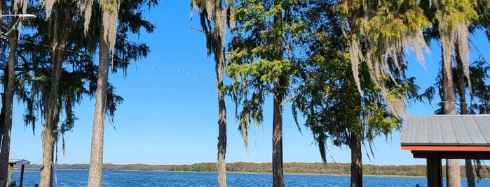 Lake Tarpon is one of Best of South Tampa Outdoors.