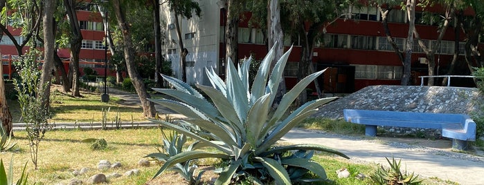 Jardin de la Paz is one of Urban explorations.