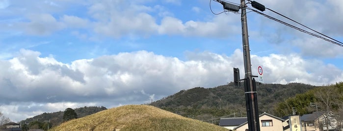 藤ノ木古墳 is one of 西日本の古墳 Acient Tombs in Western Japan.