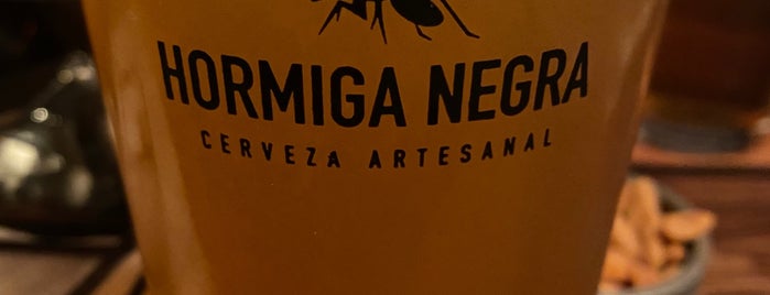 Hormiga Negra is one of Meals Zona Norte.