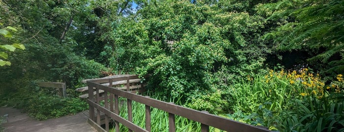 Harleyford Road Community Garden is one of London saved places.