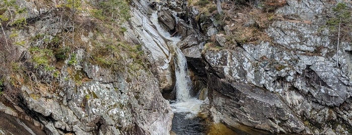 Falls of Bruar is one of scotty.