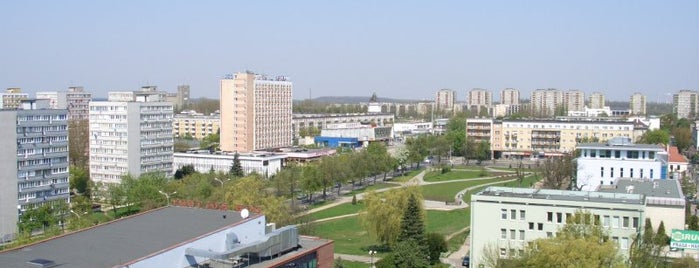 Konin is one of Polskie miasta (Polish cities).
