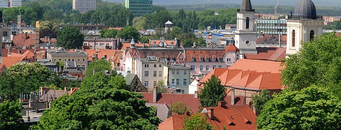 Zielona Góra is one of Polskie miasta (Polish cities).