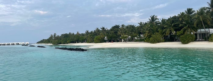 Dhigali Island Resort, Maldives is one of Maldives.