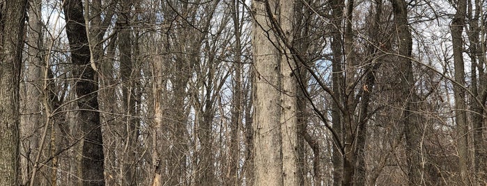 Forks Park is one of Running in the Lehigh Valley.