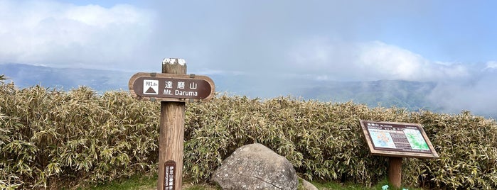 達磨山 is one of Japan.