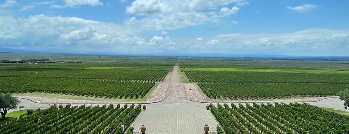 Bodega Monteviejo is one of Mendoza.