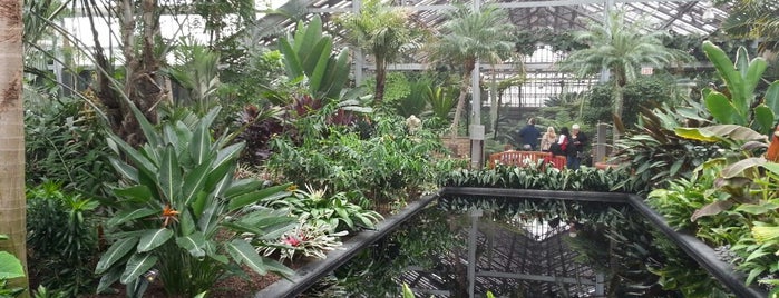 Garfield Park Conservatory is one of America's Top Free Attractions.