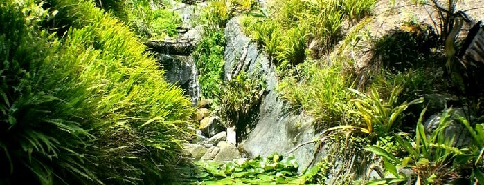 San Diego Botanic Garden is one of Lieux sauvegardés par Jessica.