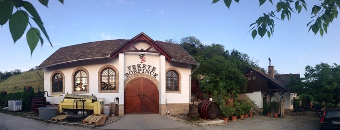 Fekete Borpince is one of Borászat / Winery.