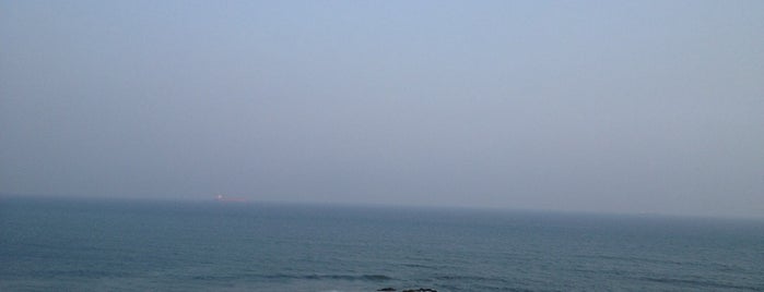 Tenneti Park is one of Beach locations in India.