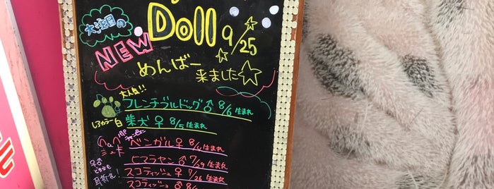 BABY DOLL 渋谷道玄坂店 is one of Tokyo 2017.