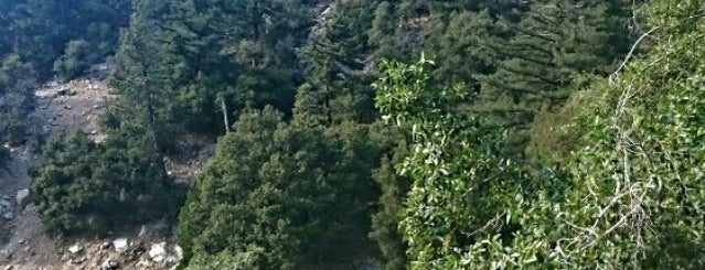 Forest Falls is one of Tempat yang Disukai Ashlee.
