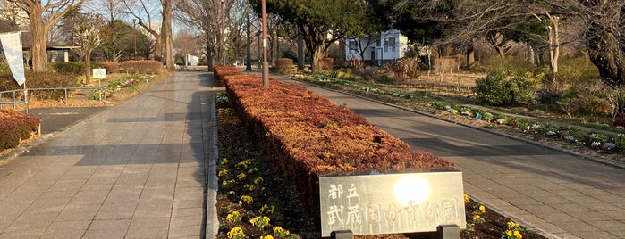 武蔵国分寺公園 is one of 駐車場.