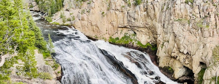 Gibbon Falls is one of Yellowstone.