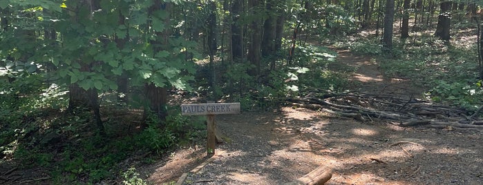 Pauls Creek Trail is one of Summer ‘18.