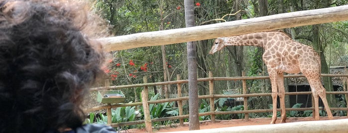 Zoo Safari is one of Lugares favoritos de Anderson.