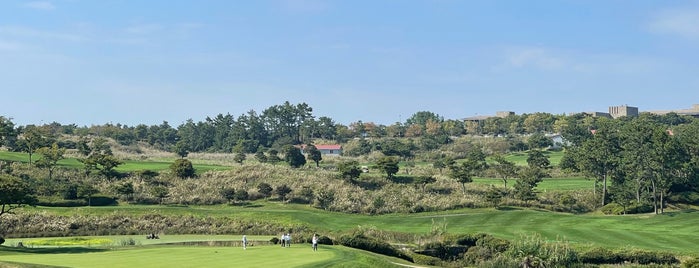 Pine Beach Golf Links is one of Golfing.