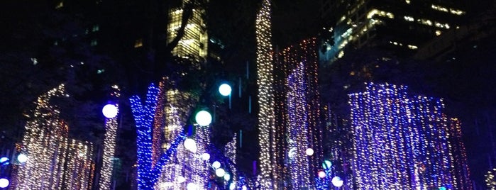Ayala Triangle Gardens is one of Phillipines.