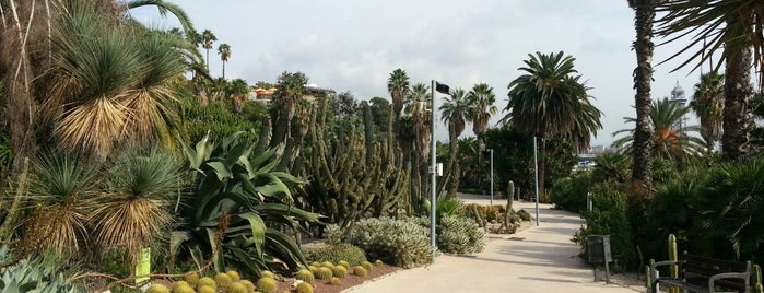 Jardins de Mossèn Costa i Llobera is one of FOREST.