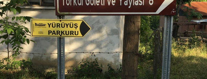 Odayeri Yaylası is one of Ebru 님이 좋아한 장소.