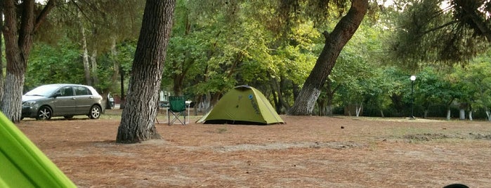 Camping Πλατανίτσι is one of Sithonia.