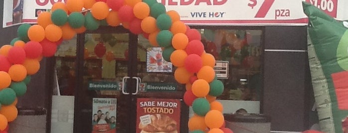 Seven Eleven is one of Fernandoさんのお気に入りスポット.