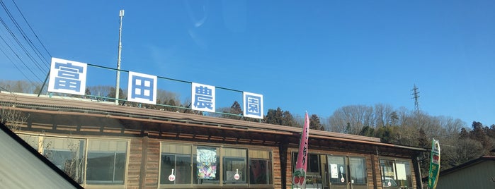 富田農園 is one of Sigekiさんのお気に入りスポット.