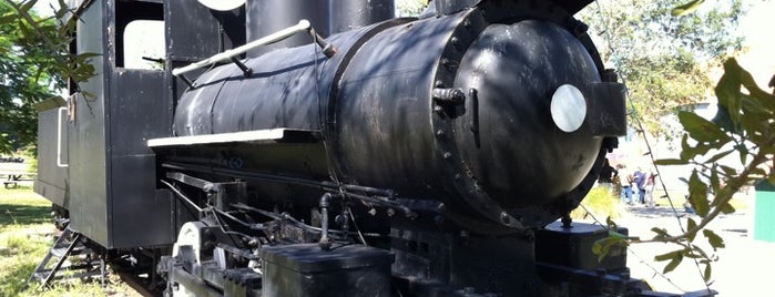 The Gold Coast Railroad Museum is one of Miami: history, culture, and outdoors.