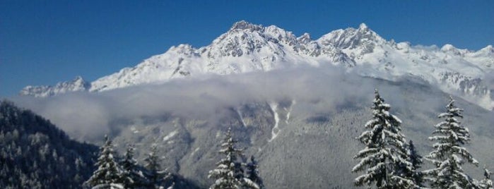 Oz-en-Oisans is one of Stations de ski (France - Alpes).