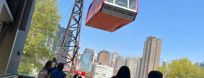 Roosevelt Island Tram (Roosevelt Island Station) is one of Things that aren't drinking.
