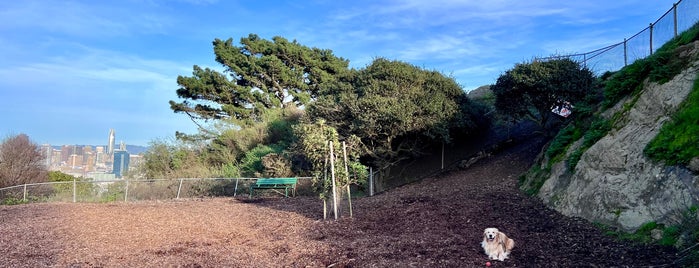 Corona Heights Dog Run is one of The 15 Best Places for Dog Park in San Francisco.